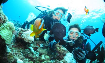 沖繩體驗潛水