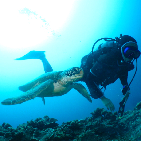 COURSE｜Okinawa Diving Shop Pink Mermaid