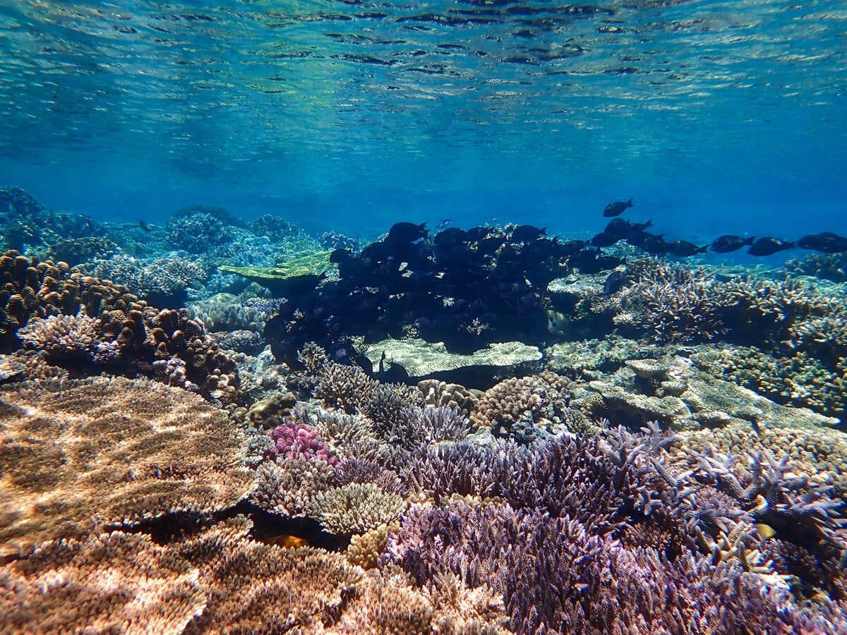 沖繩潛水點-6個熱門景點介紹