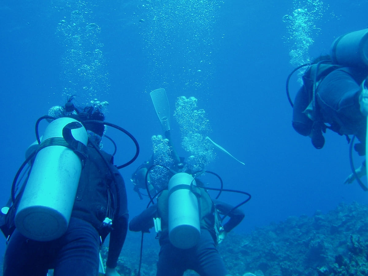 沖繩潛水需不需要潛水證照？