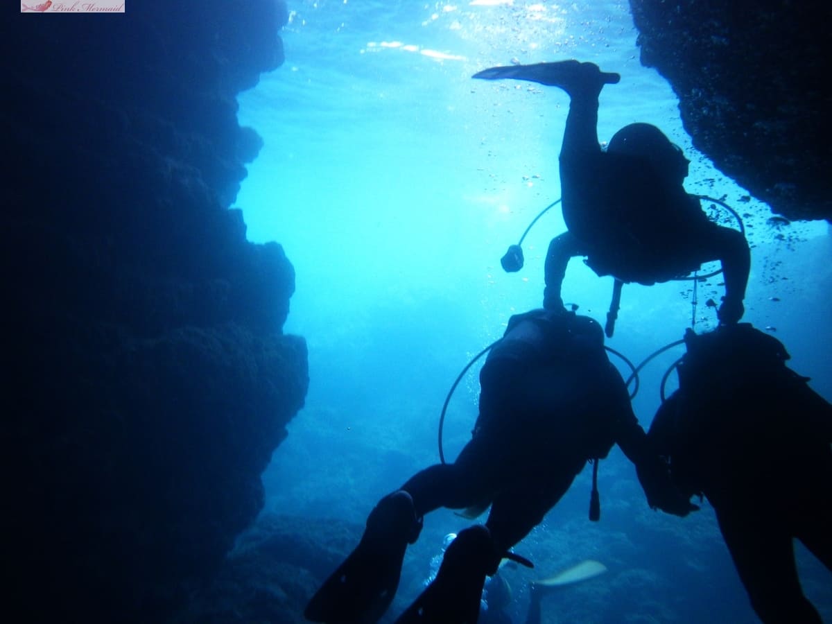 沖繩潛水費用縂整理 總共需要多少錢？