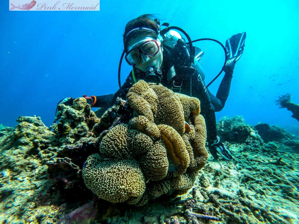 潛水面鏡 潛水面罩02