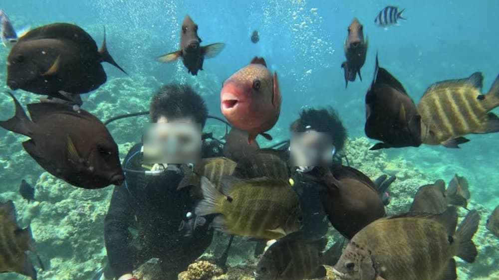 沖繩青之洞窟潛水推薦