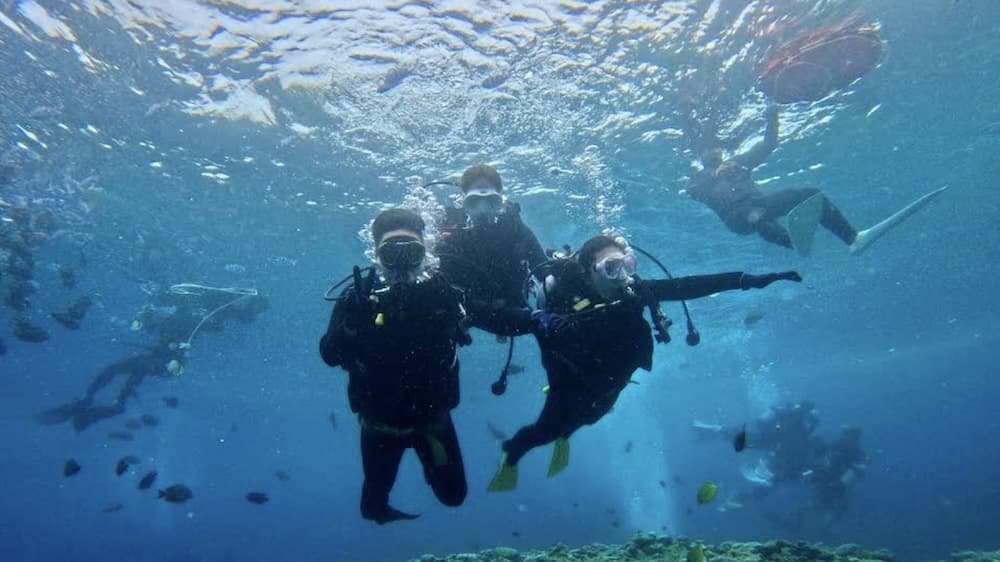 沖繩青之洞窟潛水推薦