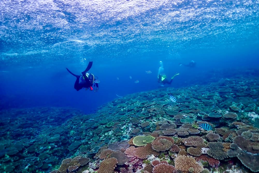 沖繩潛水1月份