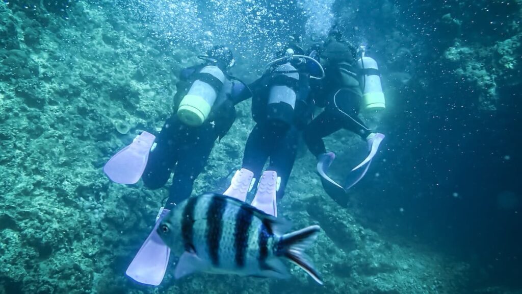 為什麼下水一定要穿潛水衣？