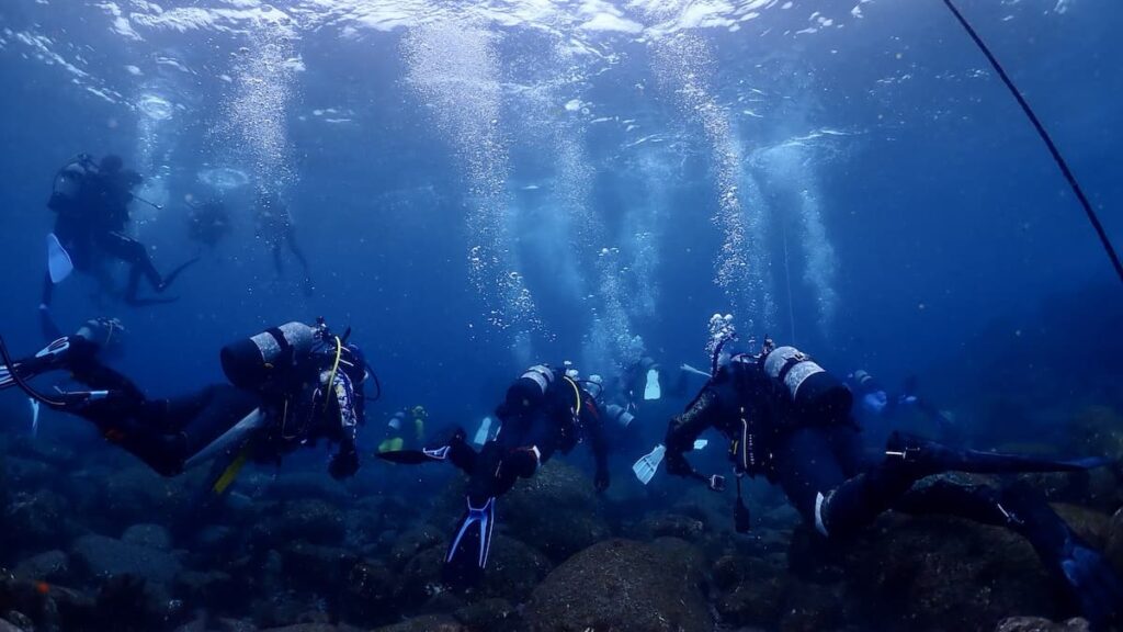 Pink Mermaid 現場有提供備用防寒衣